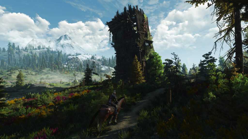 the witcher 3